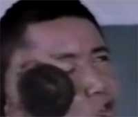 Æó¤Ä