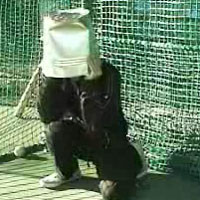 あたまわるい