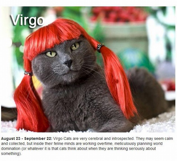 cats_zodiac_06