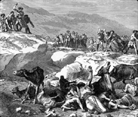 stone-to-death