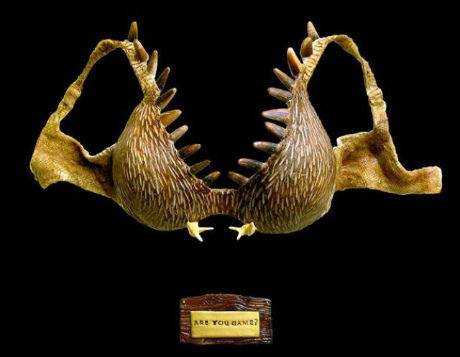 deer_antler_and_8be7N_640_01