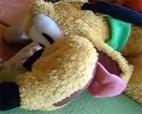 �����ե���