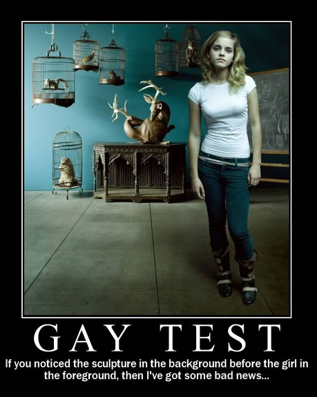 gay-test-3