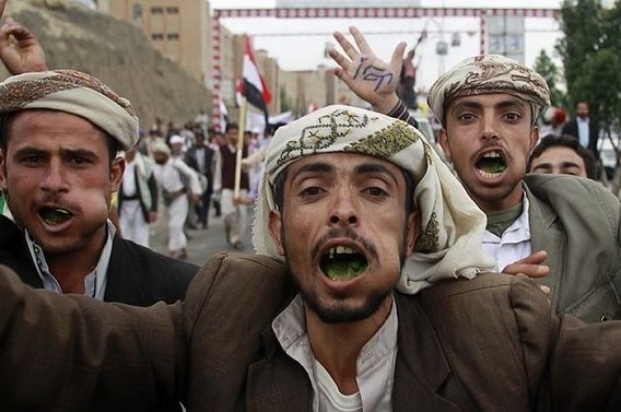qat_yemen_11