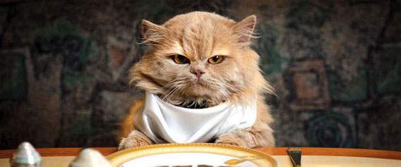 ȋȑq207r©bbspink.com	YouTube>1{ ->摜>971 