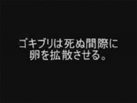 �Τ�ʤ�