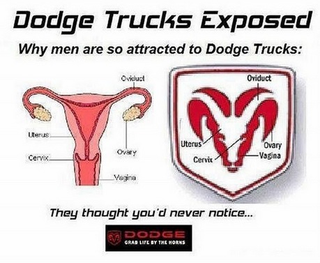 20-different-looks-at-common-things-funny