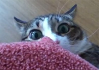 ���礦��