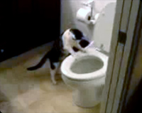 �ȥ���