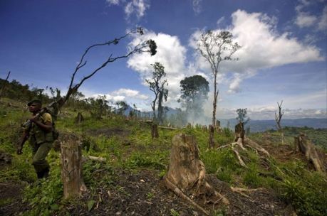 life_in_congo_38