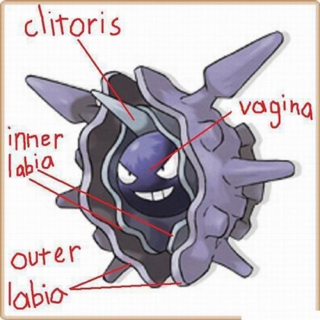 25-different-looks-at-common-things-funny