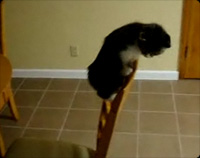 ����