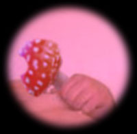 ¤½¤Î¤¤Î¤³¡¢¤ª¤é¤Ë¤â¤Á¤ç¤¦¤À¤¤