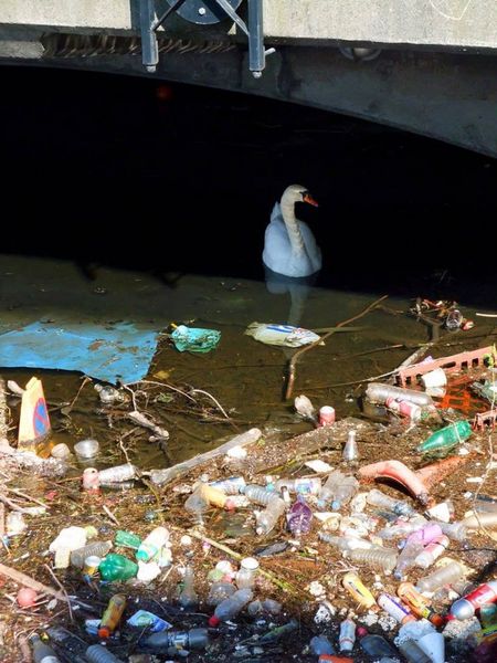 plastic_17