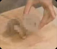 ���塼�ԡ�