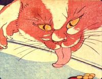 猫