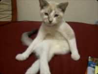 ��