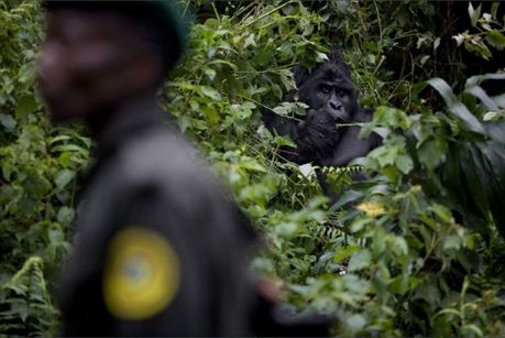 life_in_congo_12