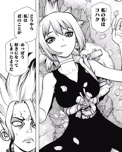 コハク3