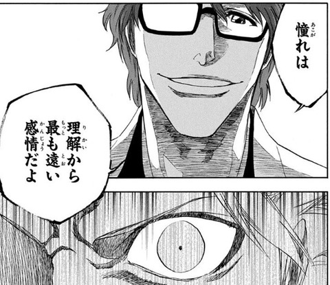 藍染2 (2)