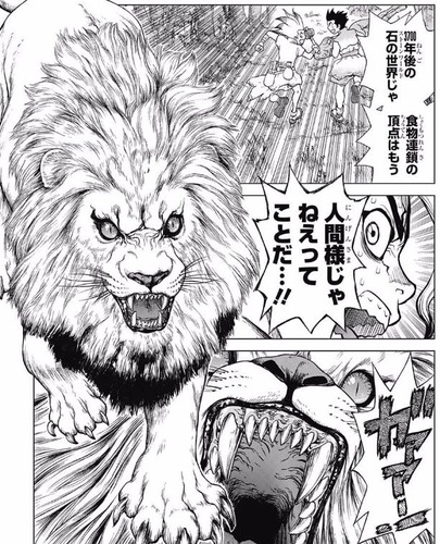 ライオン