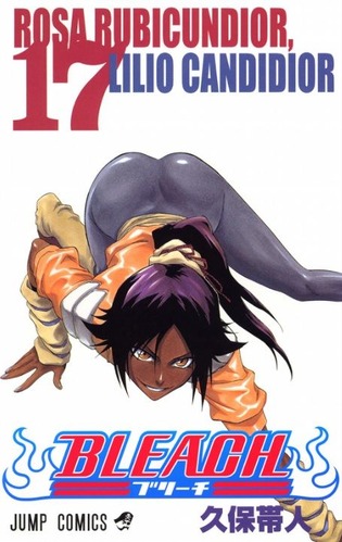 bleach17