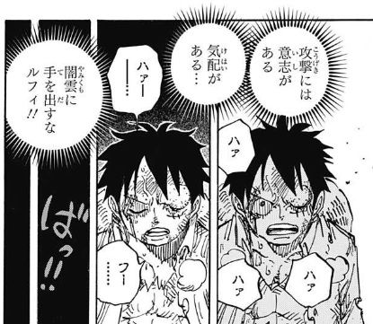 ルフィ2 (6)