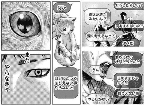 甲斐2