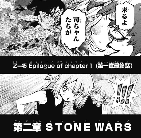 司