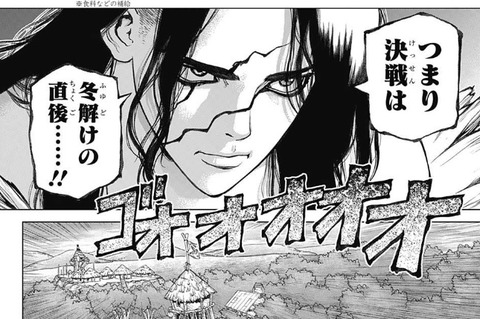 司