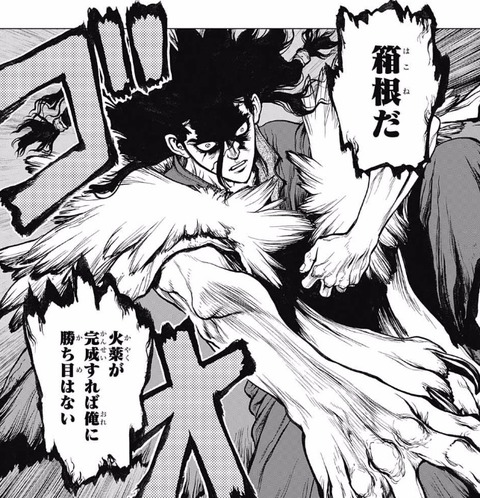 司