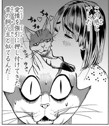 ニャーン