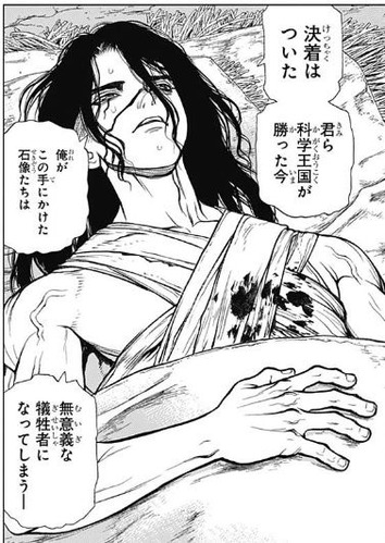 司