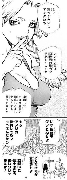 司