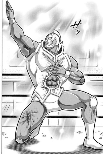 マリポーサ (6)