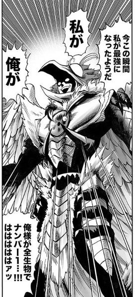 フェニックス男2