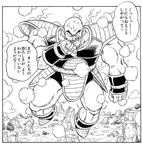 ナッパ2