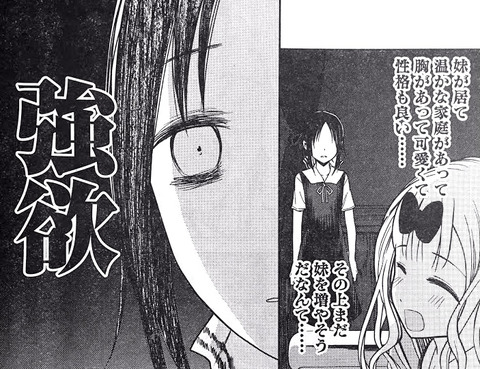 かぐや2 (4)