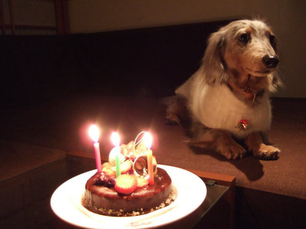 Pasha��Cake