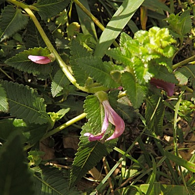 P9190386