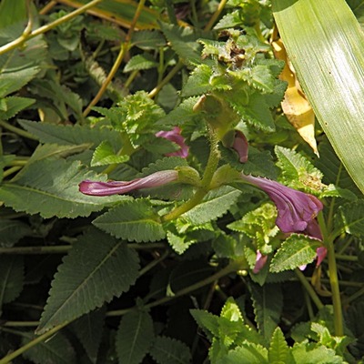 P9190388