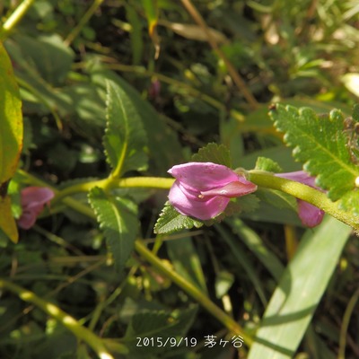 P9190385