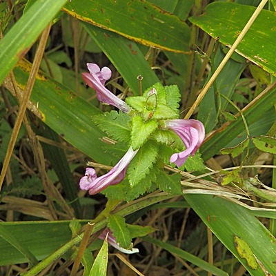 P9261234