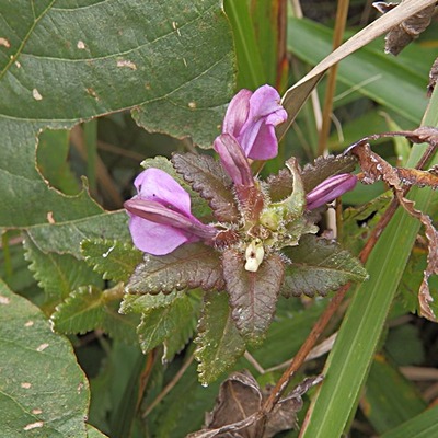 P9261232