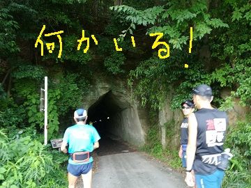 1b92-c68e-4461-88f3-3d5e76c4d513-p