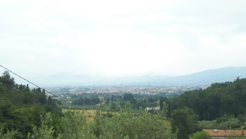 DSC_0314.JPG