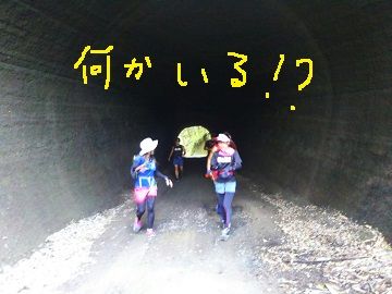 2162-5d41-4c71-ab4e-46aa35f79808-p