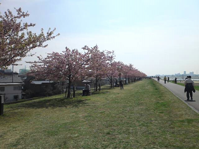 f8774120.jpg