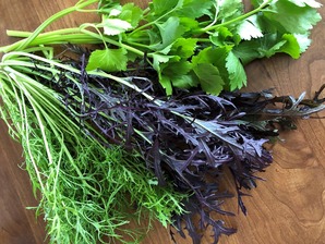 葉野菜