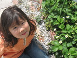イチゴの花